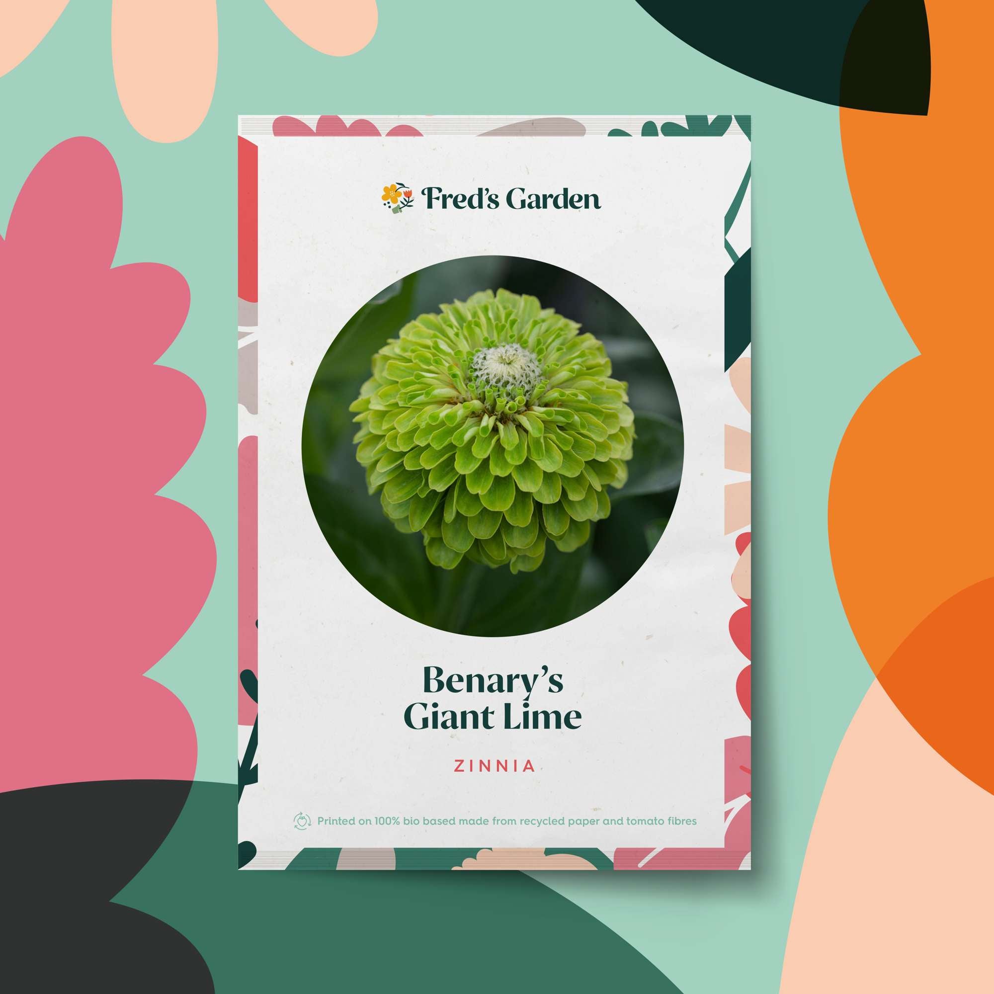 Zinnia 'Benary's Giant Lime' (frö)